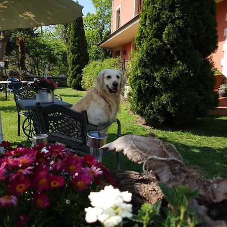 Hotel Rural El Torrejon Arenas De Cabrales Ngoại thất bức ảnh