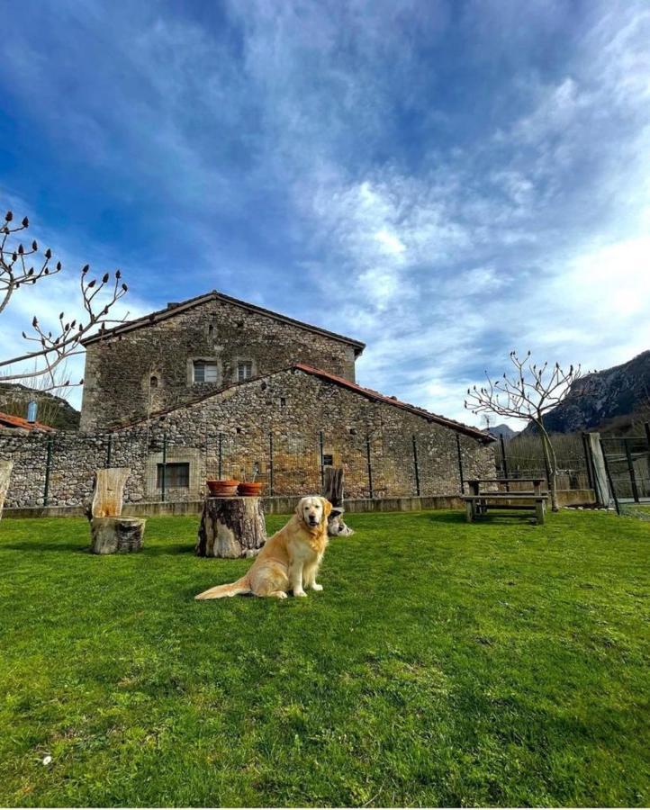 Hotel Rural El Torrejon Arenas De Cabrales Ngoại thất bức ảnh