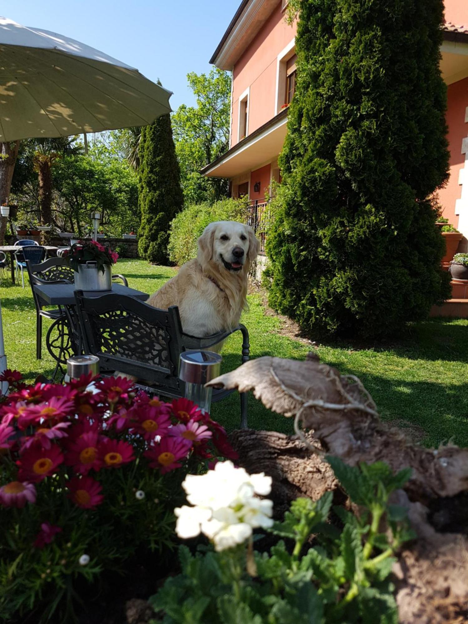 Hotel Rural El Torrejon Arenas De Cabrales Ngoại thất bức ảnh