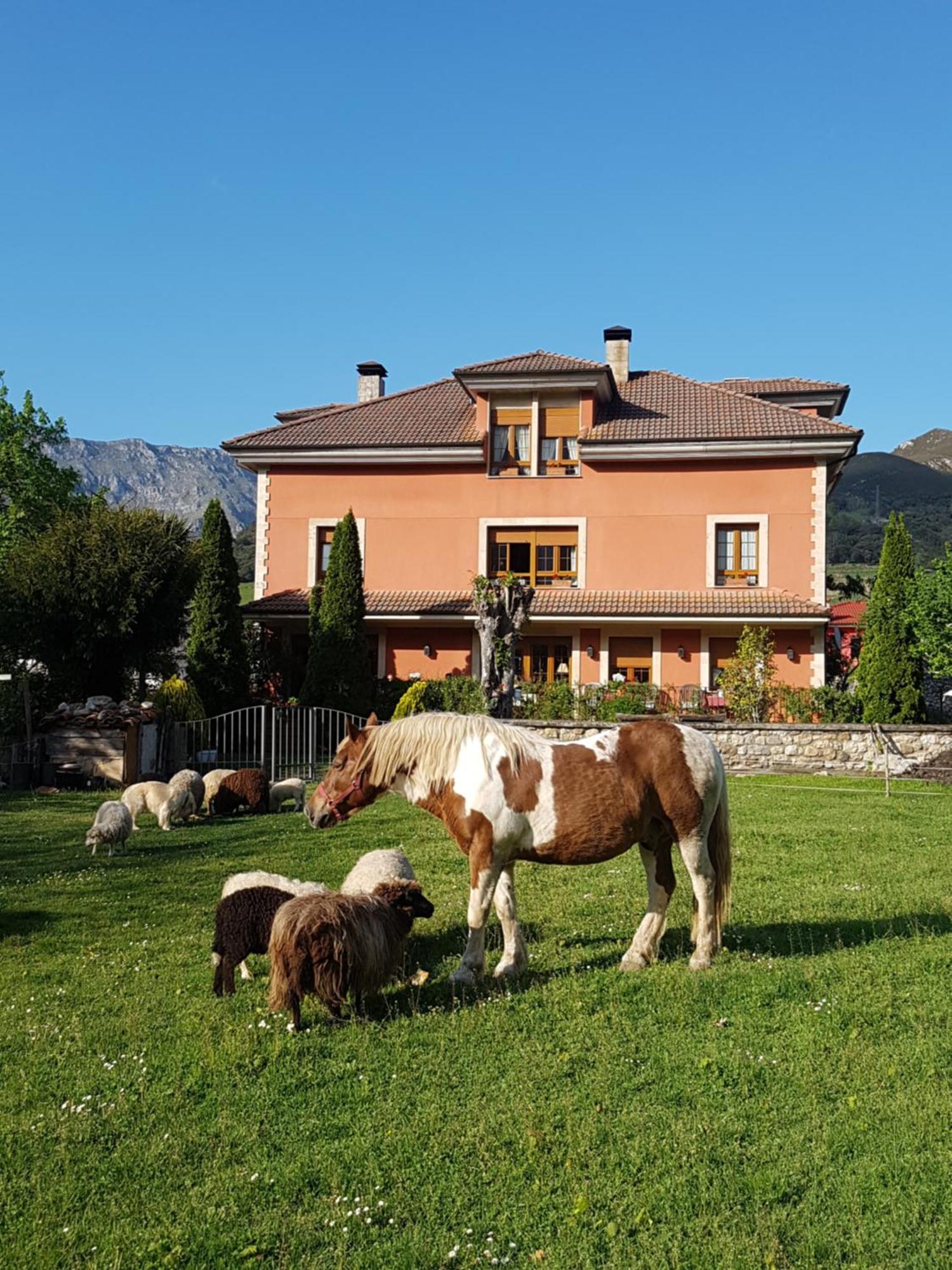 Hotel Rural El Torrejon Arenas De Cabrales Ngoại thất bức ảnh